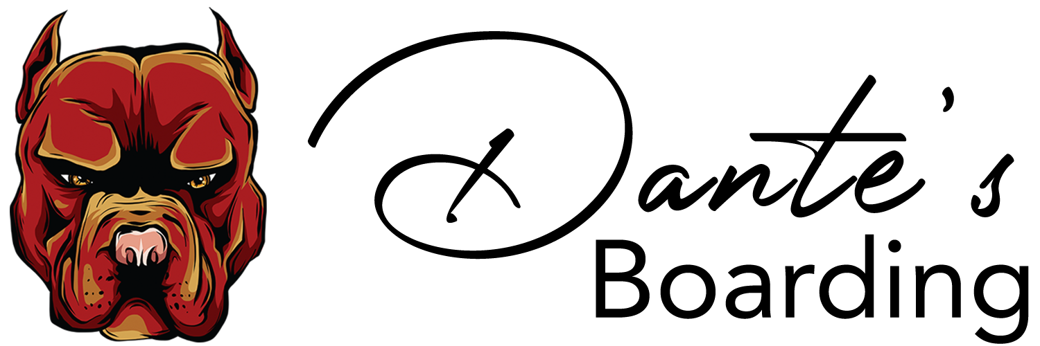 Dog Daycare, Boarding & Dog Walking Services in Etobicoke